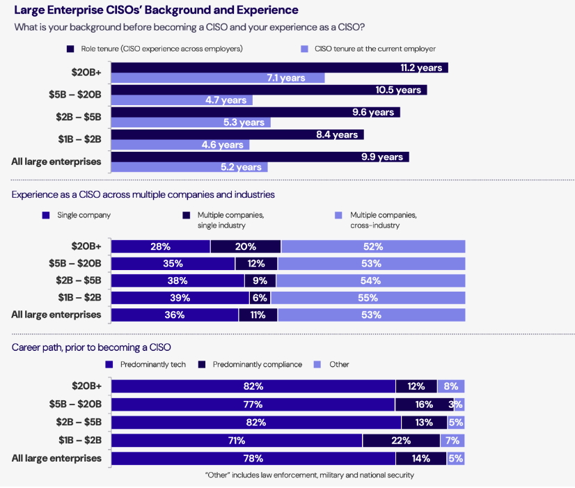 Large Enterprise CISOs' Background and Experience